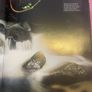 Rainforest by Thomas Marent - Stunning DK Photography Book Image 5