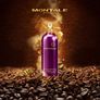 Montale intense Cafe 100 ml full or by decants 10 ml or 5 ml Image 4