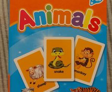 flash card for childrens