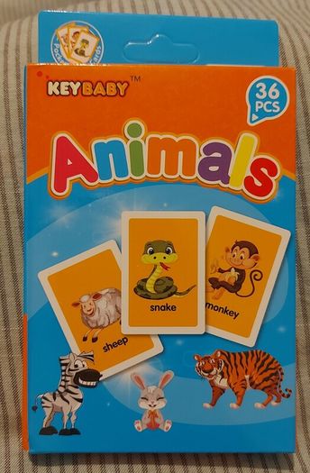 flash card for childrens