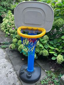 basketball hoop
