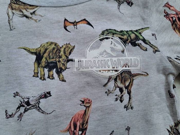 Jurassic World Top 6-7yrs