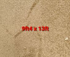 carpet 9ft4 x 13ft