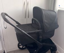Black bugaboo renew