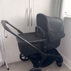 Black bugaboo renew