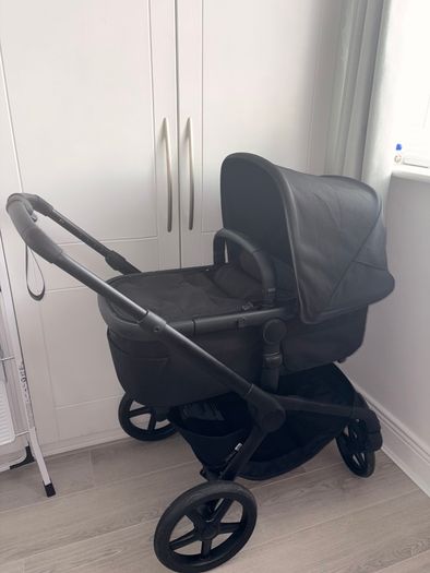 Black bugaboo renew