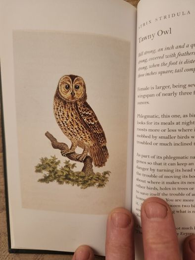 Graves Garden Birds. Selected British Garden  Birds. Beautiful Illustrated  Hardback In  Very Good Condition.