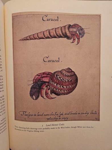 The First Colonists. Hakluyt's Voyage To North America. Introduction By A.l.rowse. All 16 Watercolours By John White. First Edition Second Print Large Volume Hardback In Good Condition   See Photos For Same.