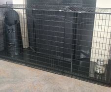 Fire Guard