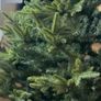 Christmas tree real look ONLY decorations not included Image 4