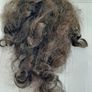 hair clip in pony tail Image 3