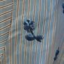 Zara Brand New Top Short size S Image 2