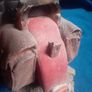 Vintage Motorcycle Figurine Model Keypoint Collectible Image 4