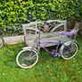 Bikes Image 5