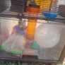 Omlet Hamster Cage Image 4