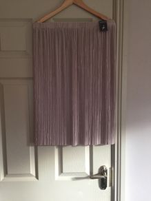 Bnwt skirt