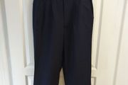 Blue Casual Pants / Trousers