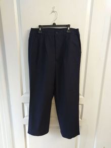 Blue Casual Pants / Trousers