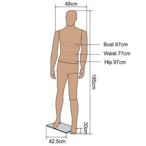 Home or Business male mannequin - FREE Delivery