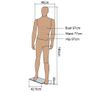 Home or Business male mannequin - FREE Delivery Image 7