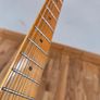 Guitar Stratocaster SX Image 9