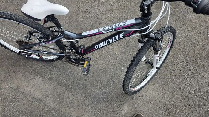 24 Procycle Venus Bike  Like New  Fully Checked