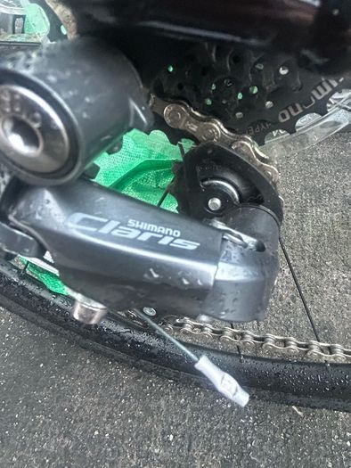 trek domane  2026