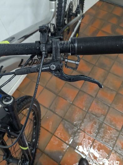 Lapierre Zesty
