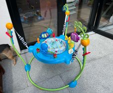 Baby Einstein bouncer.