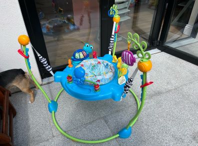 Baby Einstein bouncer.