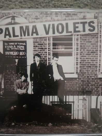 Palma Violets - 180.