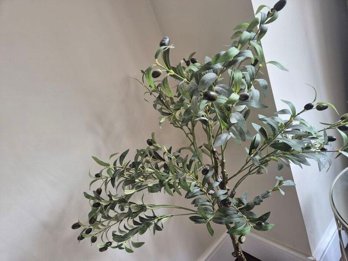 Faux Olive tre