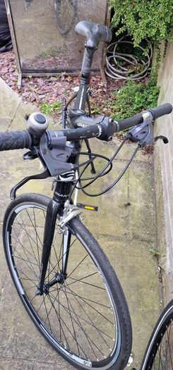 adult Bike