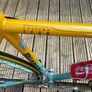 Bianchi Pantani Image 7