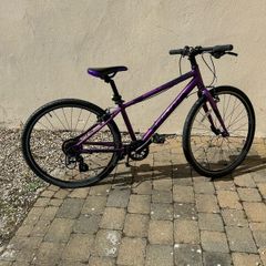 Giant junior  24in ARX bike