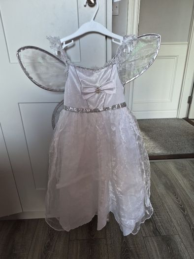 Fairy dress & wings