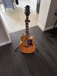 takamine g series