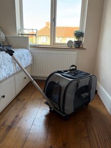 MORE FOR 2-in-1 Luxury Pet Carrier & Wheeled Trolley (Collapsible)
