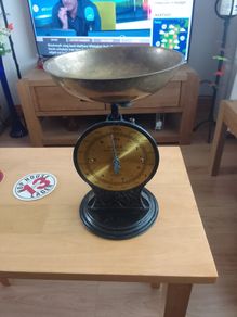 salter scales