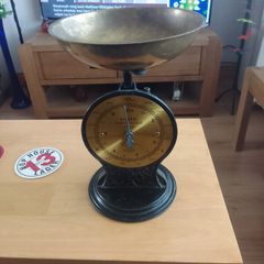 salter scales