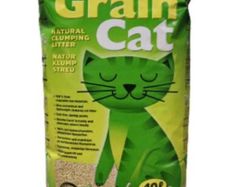 cat litter