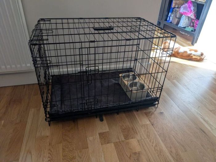 dog cage