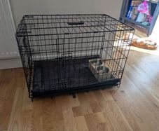 dog cage