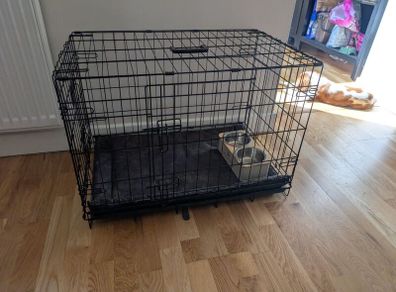 dog cage