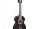 Valencia Starter Guitar