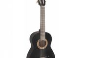 Valencia Starter Guitar