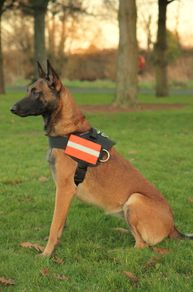 k9 Power Herness S/M/L