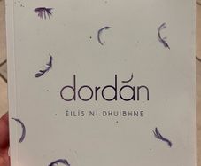 Dordan, Irish novel