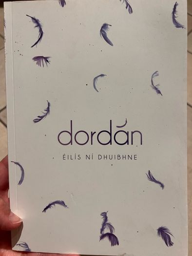 Dordan, Irish novel