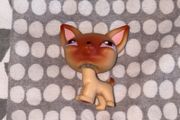 littlest pet shop (LPS) Chihuahua #001 / #1